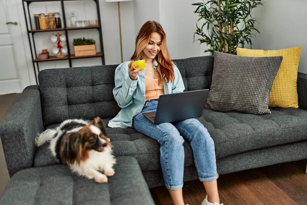 若いです白人女性を使用してノートパソコンのコーヒーを飲みますソファに座って犬と一緒に家に — ストック写真