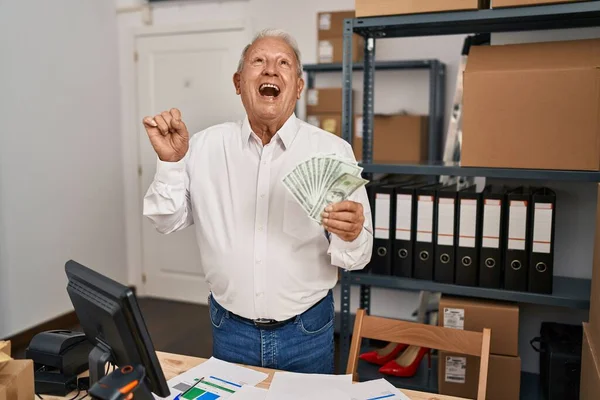 Gri Saçlı Yaşlı Adam Küçük Işletme Şirketinde Çalışıyor Dolarları Tutuyor — Stok fotoğraf