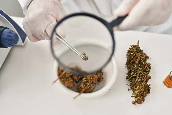 Jovem Cientista Latino Procurando Erva Cannabis Com Lupa Laboratório — Fotografia de Stock