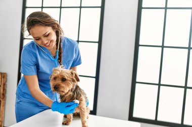 Young beautiful hispanic woman veterinarian examining dog with stethoscope at veterinary clinic