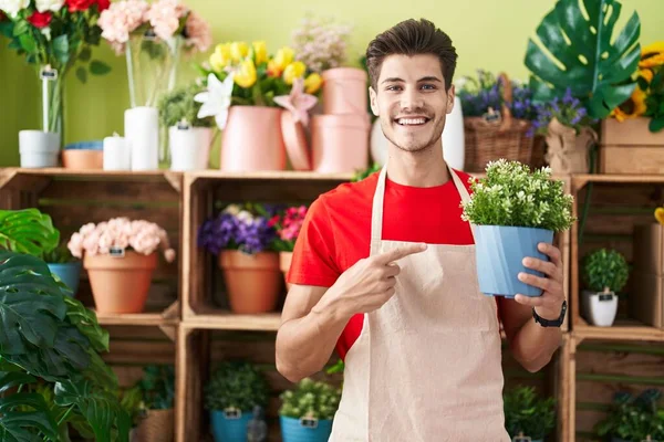 Young Hispanic Man Working Florist Shop Holding Plant Smiling Happy — Stock Photo, Image