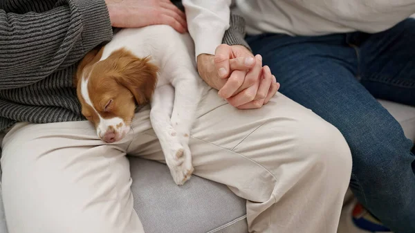 Two Men Couple Hands Together Sitting Sofa Asleep Dog Home — Stock Photo, Image