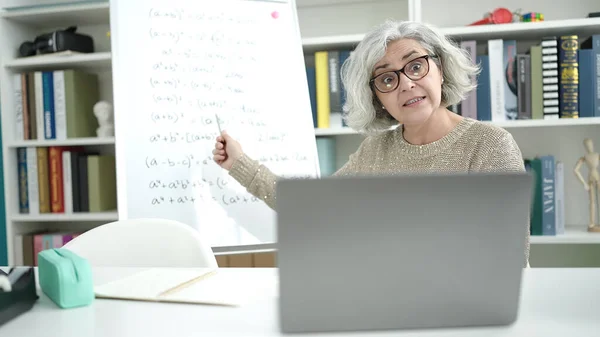 Middle Age Woman Grey Hair Teacher Teaching Online Maths Lesson —  Fotos de Stock