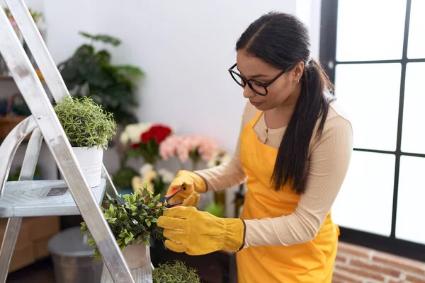 stock image Young arab woman florist talking on smartphone using laptop at flower shop