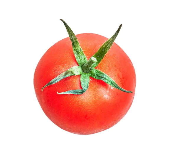 Délicieuse Tomate Simple Sur Fond Blanc Isolé — Photo