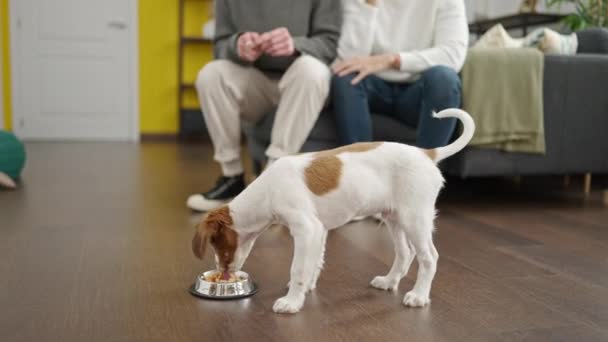 Dos Hombres Pareja Buscando Perro Para Comer Casa — Vídeos de Stock