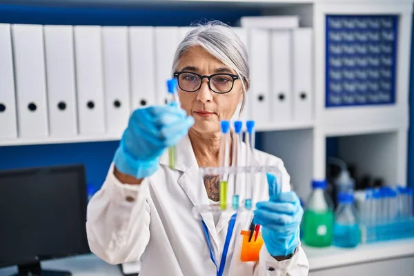 Middle Age Grey Haired Woman Scientist Holding Test Tubes Laboratory — Fotografia de Stock