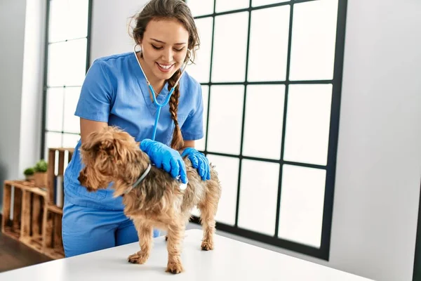 Jovem Bela Mulher Hispânica Veterinário Examinando Cão Com Estetoscópio Casa — Fotografia de Stock
