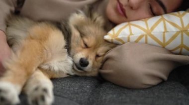 Köpekli genç İspanyol kadın kanepede uzanıyor ve evde birlikte yatıyorlar.