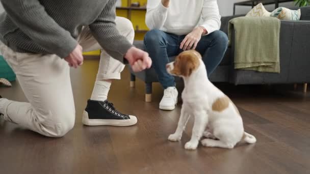 Двое Мужчин Тренируют Собаку Дома — стоковое видео