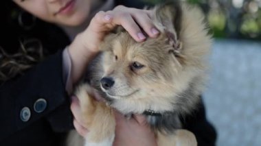 Köpekli genç İspanyol kadın parkta ciddi bir ifadeyle bankta oturuyor.