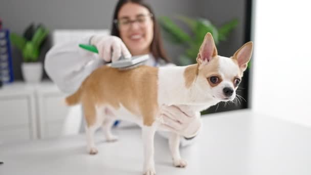 Giovane Donna Ispanica Con Chihuahua Cane Veterinario Spazzolatura Peli Cane — Video Stock