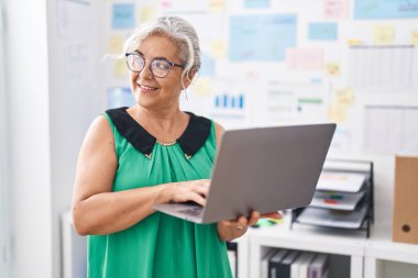 Ofiste çalışırken dizüstü bilgisayar kullanan, orta yaşlı, kır saçlı iş kadını.