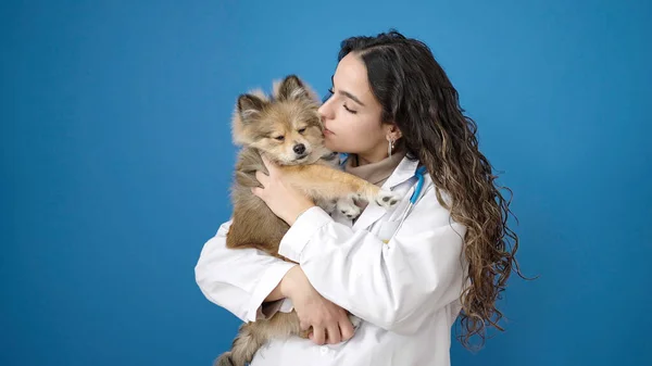 Mulher Hispânica Jovem Com Cão Veterinário Beijando Sobre Fundo Azul — Fotografia de Stock