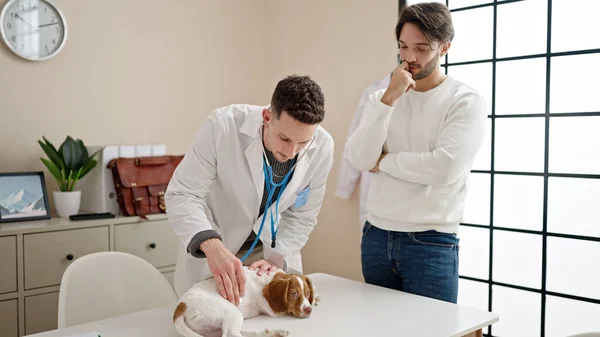 Dva Muži Vyšetřující Psa Veterinární Klinice — Stock fotografie