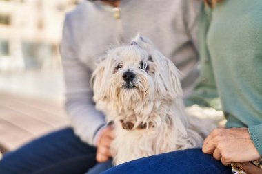 Man and woman holding dog hugging each other at seaside