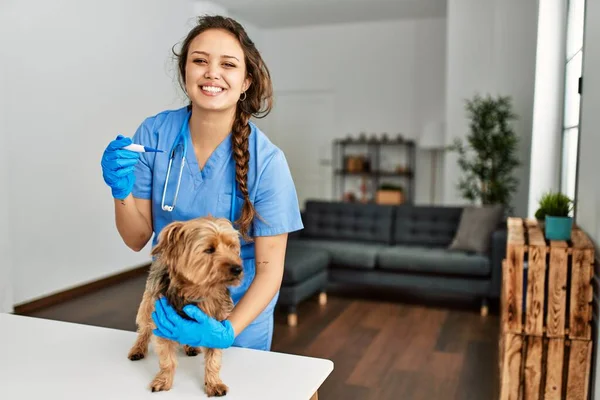 Ung Vacker Latinamerikansk Kvinna Veterinär Mäta Hund Temperatur Hålla Termometer — Stockfoto