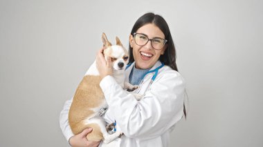 Chihuahua köpek veterineri ile genç İspanyol kadın izole edilmiş beyaz arka planda köpeğini tutarken gülümsüyor.