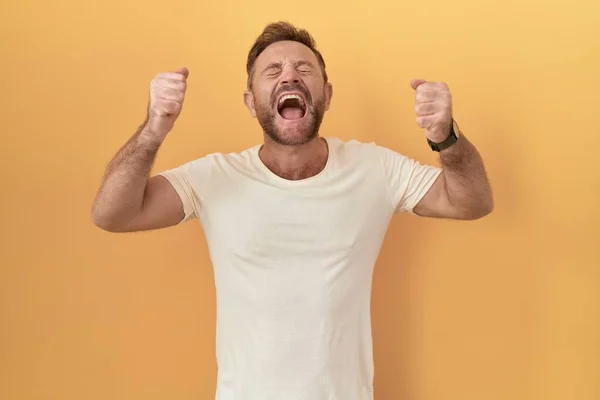 Middle Age Man Beard Standing Yellow Background Excited Success Arms — Stock Photo, Image