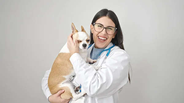年轻的惊慌失措的女人 带着奇瓦瓦犬兽医微笑着把狗抱在孤独的白色背景上 — 图库照片