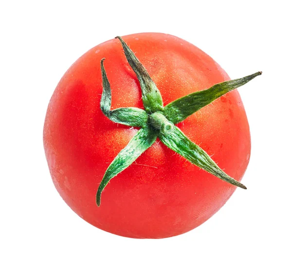 Delicioso Único Tomate Sobre Fundo Branco Isolado — Fotografia de Stock