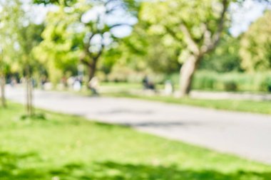 Park arka plan bulanık 