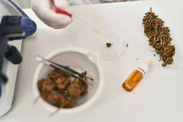 Jeune Homme Latin Scientifique Versant Liquide Sur Échantillon Herbe Cannabis — Photo