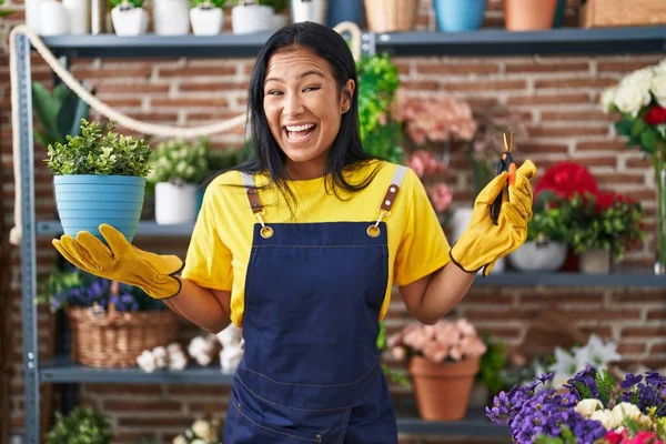 Hispanic woman working at florist shop holding plant celebrating crazy and amazed for success with open eyes screaming excited.