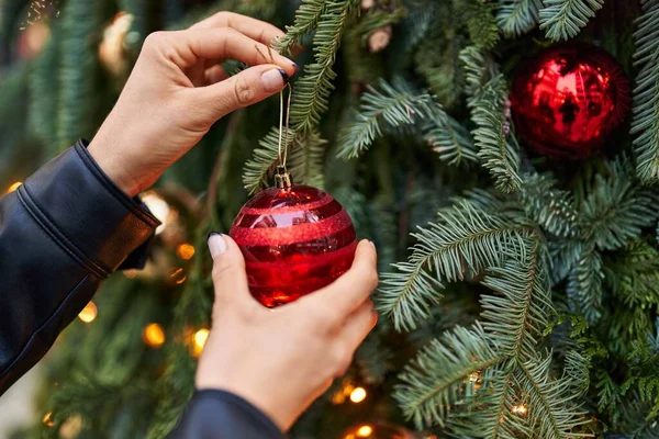 Young Beautiful Hispanic Woman Hanging Christmas Decor Ball Tree Park — Stockfoto