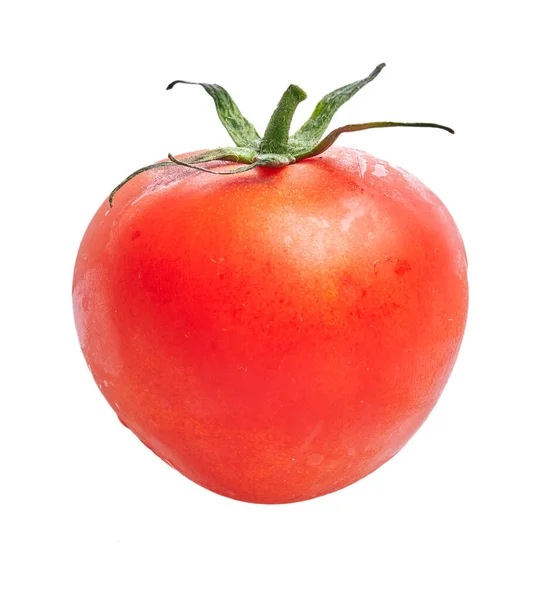 Delicioso Único Tomate Sobre Fundo Branco Isolado — Fotografia de Stock