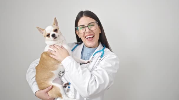 Jonge Spaanse Vrouw Met Chihuahua Hond Dierenarts Glimlachend Houden Hond — Stockvideo