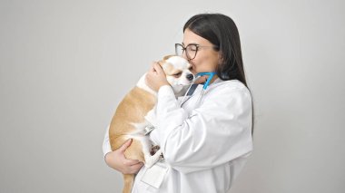 Chihuahua köpek veteriner köpeği olan genç İspanyol kadın izole edilmiş beyaz arka planda öpüşüyor.