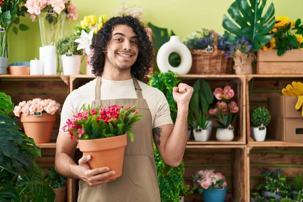 Hispanic Man Curly Hair Working Florist Shop Holding Plant Screaming — Stock Photo, Image