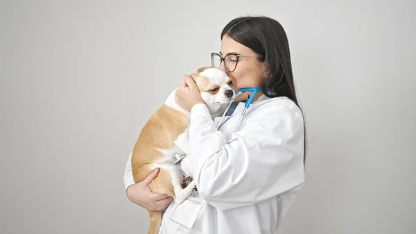 Giovane Donna Ispanica Con Chihuahua Cane Veterinario Baciare Cane Sfondo — Foto Stock
