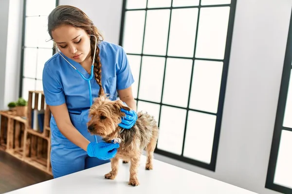 Ung Vacker Latinamerikansk Kvinna Veterinär Undersöka Hund Med Stetoskop Hemma — Stockfoto