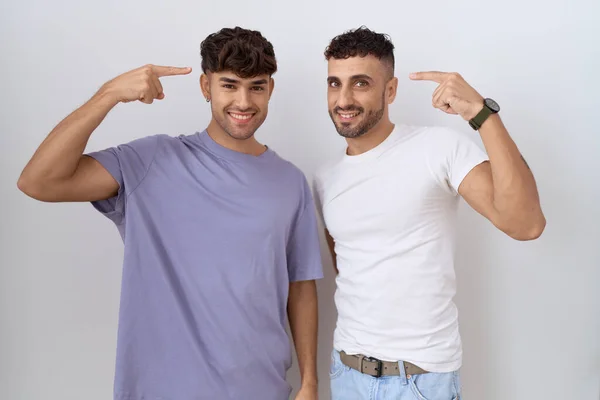 Homosexual Gay Couple Standing White Background Smiling Pointing Head Both — Stock Photo, Image