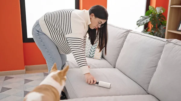 Young hispanic woman with chihuahua dog using stick roll to clean pet hair from sofa at home