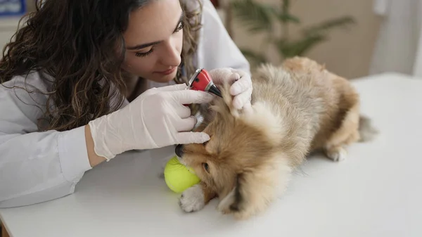 带着狗兽医在诊所检查耳朵的年轻恐慌女人 — 图库照片