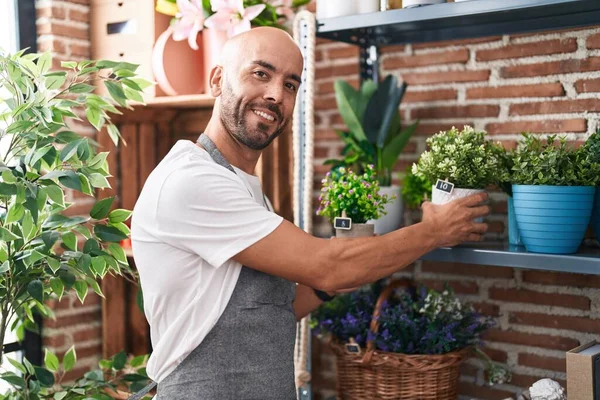 Young Bald Man Florist Holding Plant Shelving Florist — Photo