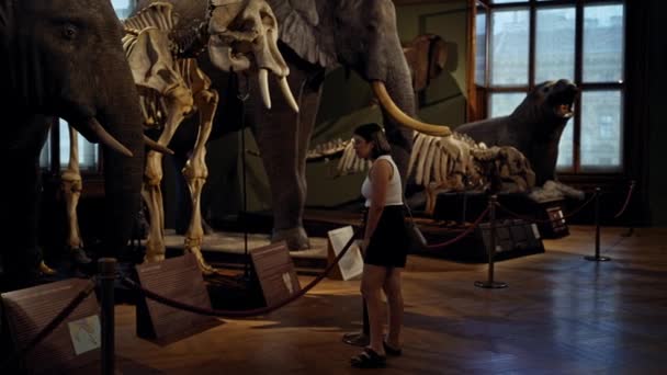 Νεαρή Όμορφη Ισπανίδα Που Επισκέπτεται Έκθεση Φυσικής Ιστορίας Στο Μουσείο — Αρχείο Βίντεο