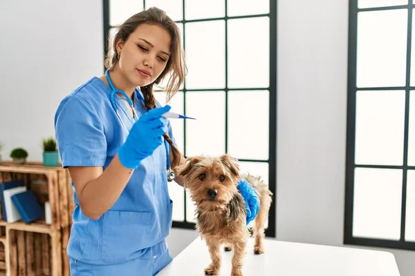 Ung Vacker Latinamerikansk Kvinna Veterinär Mäta Hund Temperatur Hålla Termometer — Stockfoto