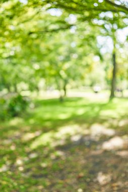 Park arka plan bulanık 