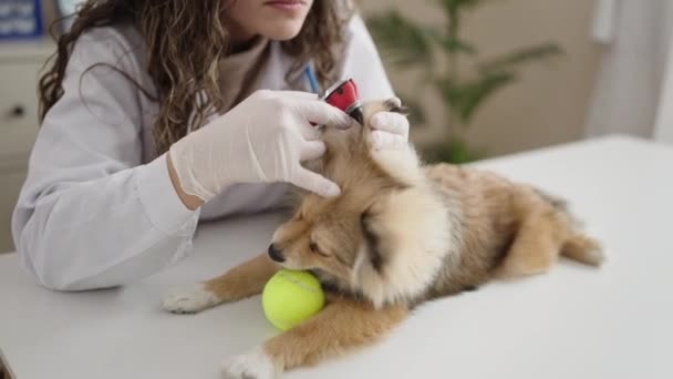 Jovem Hispânica Com Cão Veterinário Examinando Orelhas Clínica — Vídeo de Stock