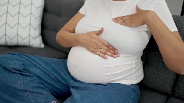 Mujer Embarazada Joven Examinando Pecho Sentado Sofá Casa — Vídeos de Stock