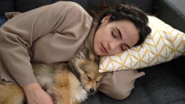 Junge Hispanische Frau Mit Hund Liegt Auf Sofa Und Schläft — Stockvideo