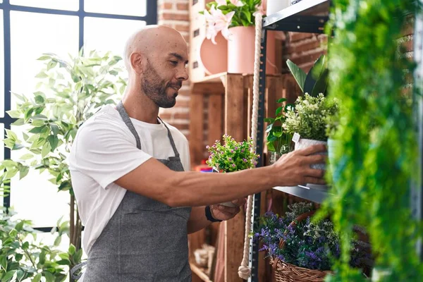 Young bald man florist holding plant on shelving at florist