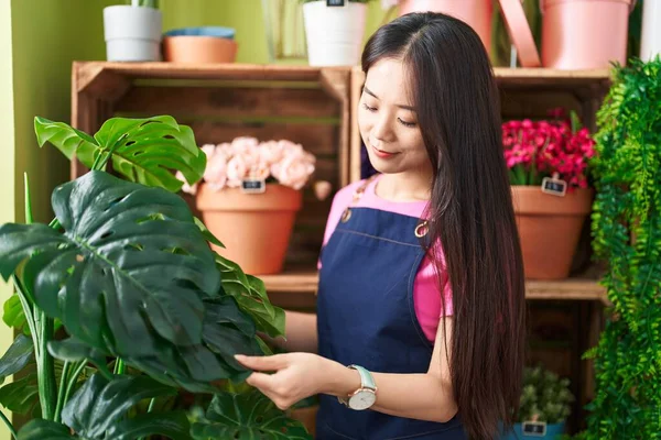 Jovem Mulher Chinesa Florista Sorrindo Confiante Tocando Planta Loja Flores — Fotografia de Stock