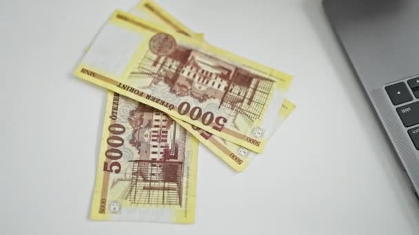 Młoda Blondynka Pracownik Biznesu Licząc Węgierskie Forint Banknotów Biurze — Wideo stockowe