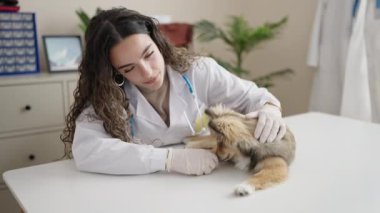 Klinikte köpek veterineri olan genç İspanyol kadın.