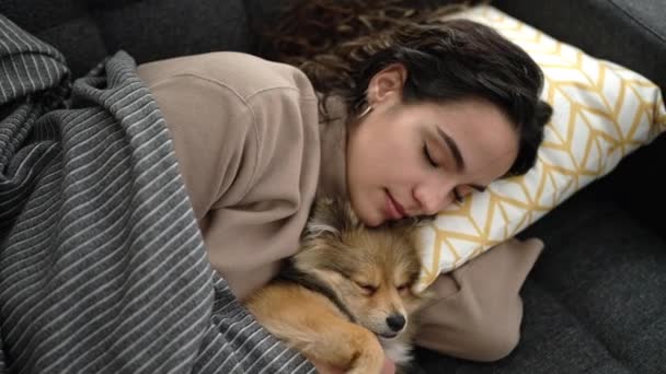 Mujer Hispana Joven Con Perro Acostado Sofá Durmiendo Juntos Casa — Vídeo de stock